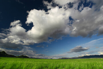 Fototapeta na wymiar Estepa y cielo azul con nubes (cúmulos). Cieza y Jumilla (Murcia-España).