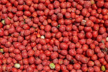 Tomatoes background. Group of fresh harvested tomatoes.
