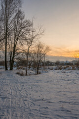 Freeze landscape of the forest during the sunset. Trees are highlighted by the sunlight.