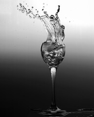 stele squirt beautiful splashes ice black and white water freezing