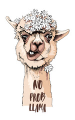Funny poster. Portrait of Llama with a chamomile flowers. No probllama - lettering quote. Humor card, t-shirt composition, hand drawn style print. Vector illustration.