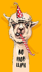 Fun Alpaca in a polka dot party hat, and with a red whistle blowing. No prob llama - lettering quote. Happy Birthday humor card, t-shirt composition, hand drawn style print. Vector illustration. - 409438883