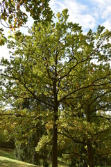Naturfotografie in Hessen