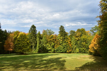 See in Waldau (Kassel)