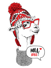 Funny poster. Portrait of Llama in a red Chullo Hat, knitted scarf and in a glasses. Hola alpaca! - lettering quote. Humor card, t-shirt composition, hand drawn style print. Vector illustration.