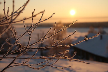 sunset in the snow