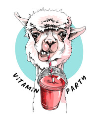 Adorable Llama with a Plastic Cup Mockup of Smoothie. Humor card, t-shirt composition, hand drawn style print. Vector illustration. © Afishka