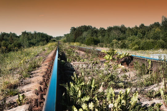 Direct Railway Going Into The Distance In The Evening In Russia.