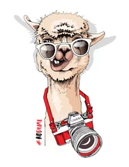 Foto auf Alu-Dibond Funny poster. Portrait of Llama in a sunglasses and with a camera.  No drama - lettering quote. Humor card, t-shirt composition, hand drawn style print. Vector illustration. © Afishka
