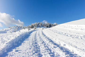 Winter landscape with snow covered spruce forest in mountains with clear blue skies.