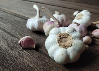 garlic