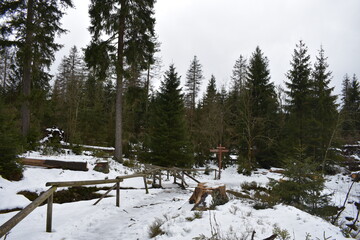 Naturfotografie im Harz am Oderteich