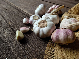garlic