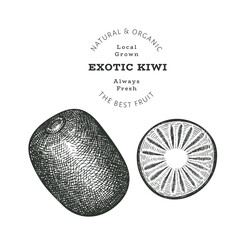Hand drawn sketch style kiwi. Organic fresh food vector illustration isolated on white background. Retro exotic fruit illustration. Engraved style botanical picture.