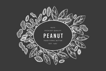 Hand drawn peanut branch and kernels design template. Organic food vector illustration on chalk board. Retro nut illustration. Engraved style botanical picture.