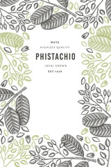 Fototapeta premium Hand drawn phistachio branch and kernels design template. Organic food vector illustration on white background. Retro nut illustration. Engraved style botanical banner.