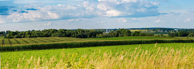 Central Wisconsin farmland in summer - obrazy, fototapety, plakaty