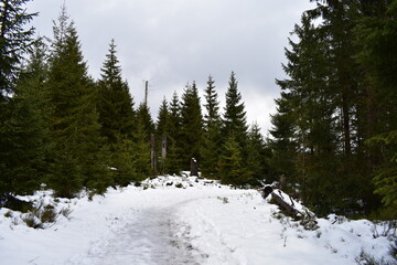 Naturfotografie im Harz am Oderteich