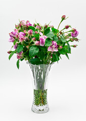 beautiful flower vase with rose flower and green leaves