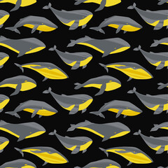 Repeated texture with hand drawn marine mammals: blue whale, white whale and sperm whale.