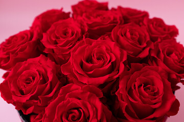Fototapeta na wymiar Black box of roses on pink background