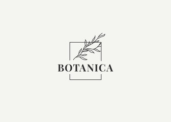 Botanic plant logo design template
