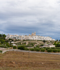 View of the skyline of Locortondo in Puglia from an olive tree field