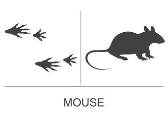 Mouse silhouette and prints of the hind and fore paws. Vector illustration on a white background.