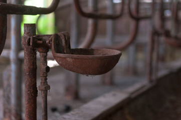 Abandoned farm - Urbex 