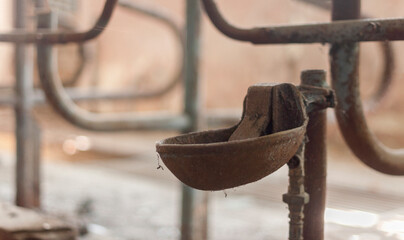 Abandoned farm - Urbex 