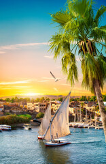 River Nile and boats