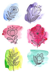 set doodle illustration of flowers on colored watercolor blot