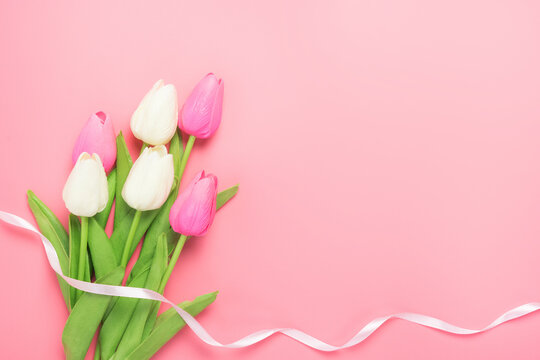 Spring flowers bunch of pink and white tulips on the pink background with free space for text. Mother's day or women's day composition.