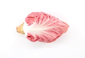 Pink radicchio plant, a type of leaf chicory, on white background. It is spread in the north east Italy and known for its taste.