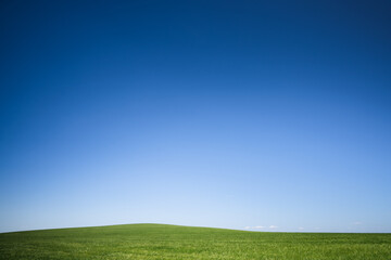 Fototapeta premium Minimalistic summer landscape with green meadow and blue sky. Beautiful natural background with wild field grass on the hill. Relax, enjoyment of nature, travel concept.