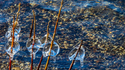飛沫氷　冬の湖