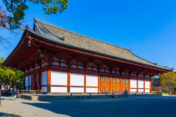 Fototapeta premium 【京都府】世界遺産 東寺