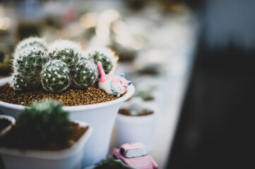 Closeup of cat sculpture with cactus in a pot