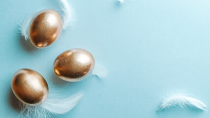 Easter symbol. Golden eggs in basket with white feathers on pastel blue background in Happy Easter...