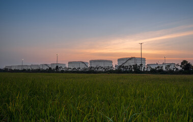 Obraz premium Large oil tanks from industrial fields, oil and gas industry perspective, petrochemicals, oil storage tanks of refineries and steel pipelines at night, healthy ecosystems and environmental concepts.