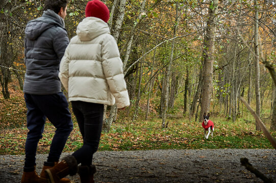 couple walking in the woods with dog
