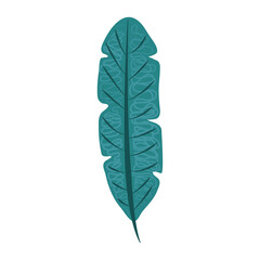 tropical leaf foliage flora nature abstract style icon