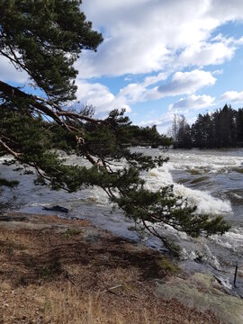 Flood of the river