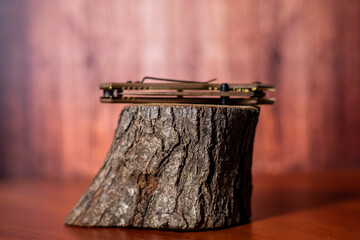 Obraz premium folding hunting knife on wood on brown background