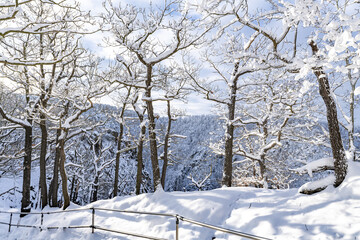 Winter