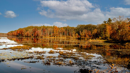 autumn landscape with lake