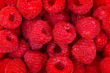 Closeup Fresh and Sweet Raspberries Background