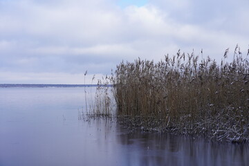 Winterliche Landschaft mit Schilf, Eis, und Schnee am Müggelsee in Berlin
