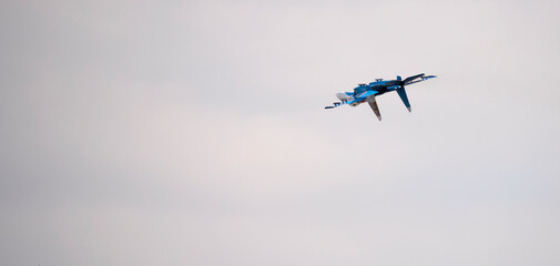   Aerobatic team 