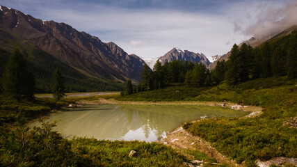 small lake and trees in the mountains